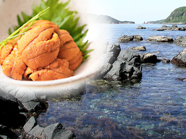 壱岐：タンス浦海岸と美味しいうに